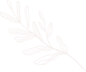 demo-blogger-home-leaf-02.png